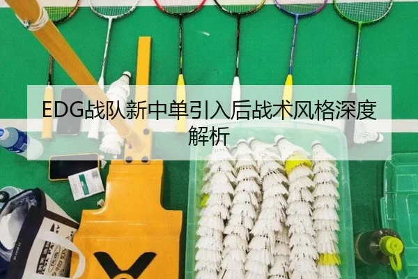 EDG战队新中单引入后战术风格深度解析